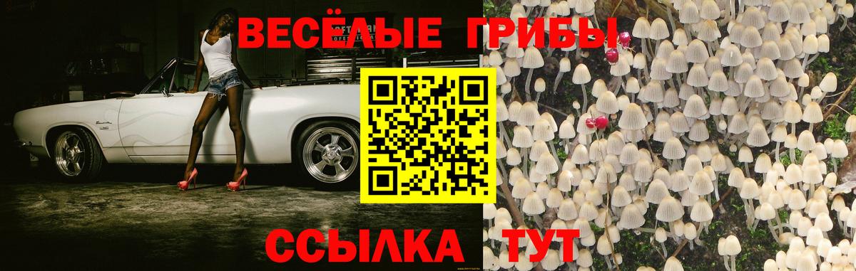 Галлюциногенные грибы MAGIC MUSHROOMS Баксан